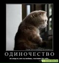 №15 Танюшка Злыгостева 17.11: профиль, фото, статус - ВКонтакте