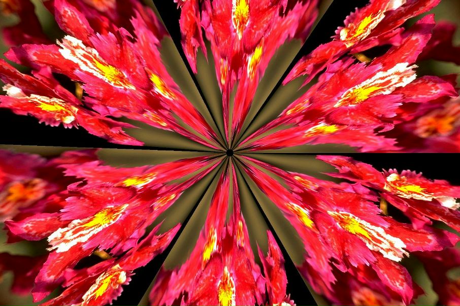 №116, Николай Быстров, Тверь №116, Николай Быстров, Тверь