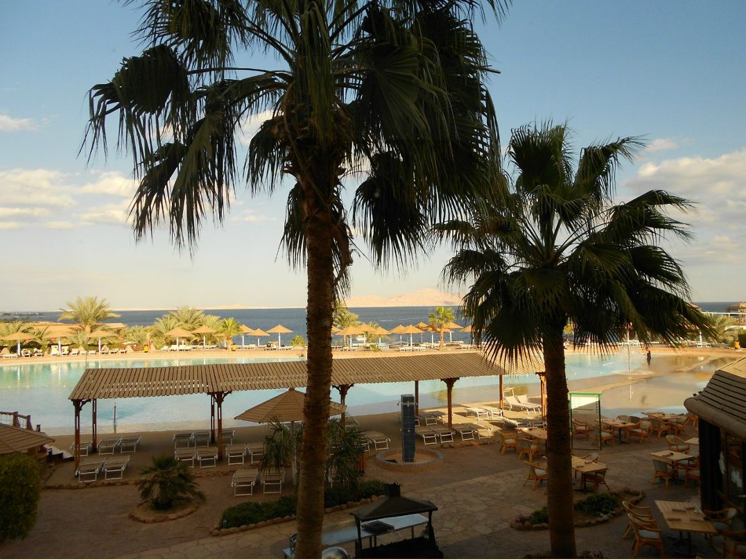 Оля Антошкина | Брянск