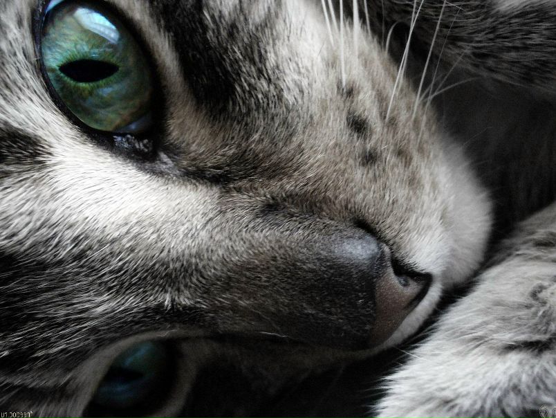 №14, Любовь Пачкунова, Тюмень №14, Любовь Пачкунова, Тюмень