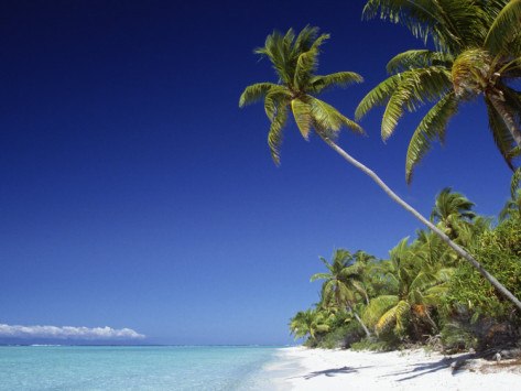 Валек Проводилов ~*(~^Тортик^~)*~ | Москва