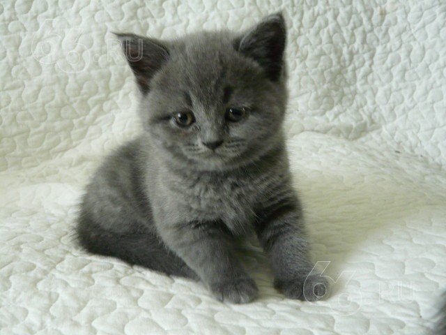 Валюша Мишина | Екатеринбург