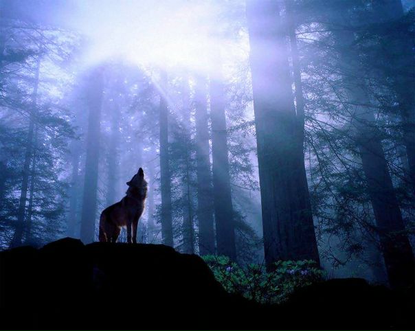 №19, Тигран Волин, 33 года, Псков №19, Тигран Волин, 33 года, Псков