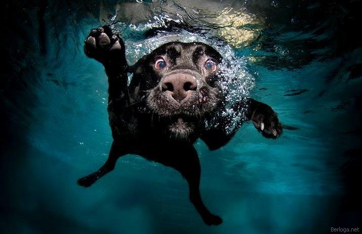 Сергей Свинар | Киев