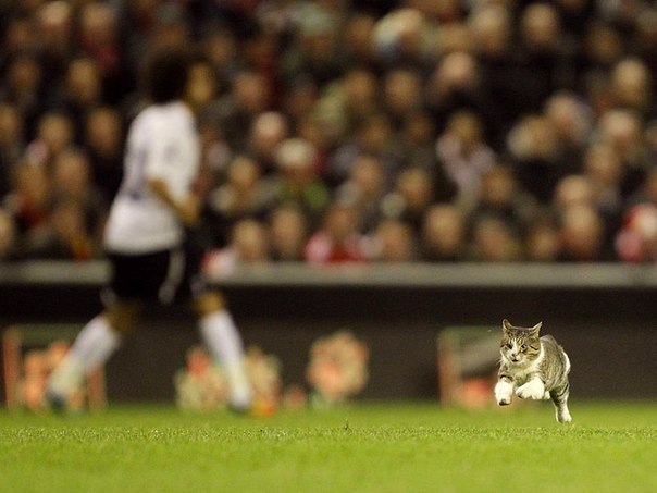Даниил Михайлович | Санкт-Петербург