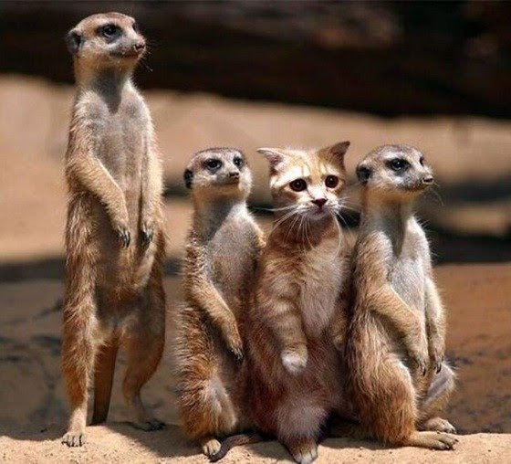 №3, Марина Шишкарева, Санкт-Петербург №3, Марина Шишкарева, Санкт-Петербург