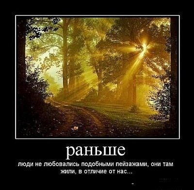 Лилия Литвиненко | Киев
