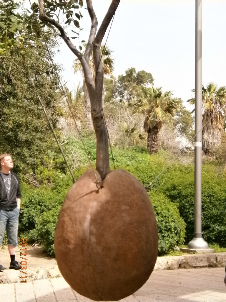 Татьяна Кириличева | Санкт-Петербург