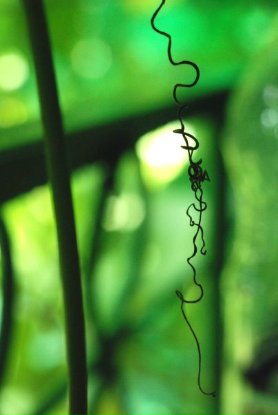 №63, Настасья Неважжно №63, Настасья Неважжно