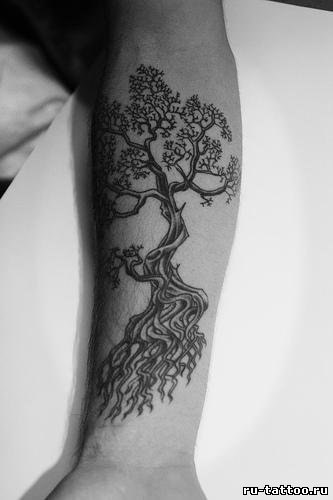 Семен Левицький | 