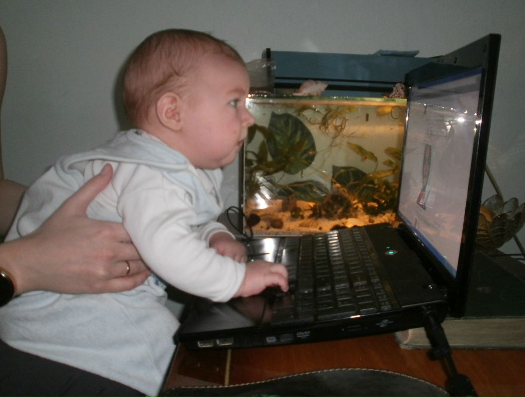 Артя Гарачук | Волочиск