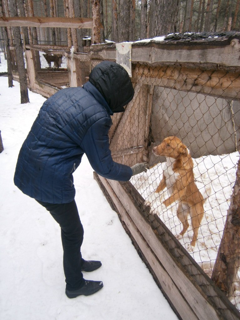 Олександр Брижко | Киев