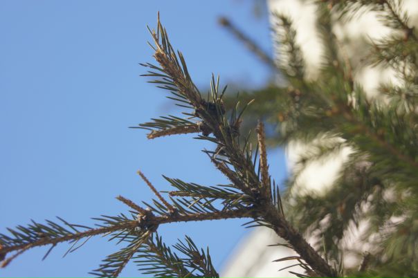 №43, Даниил Попов, 33 года, Новосибирск №43, Даниил Попов, 33 года, Новосибирск