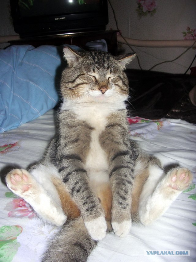 Владислав Махнач =HaWK= | Минск