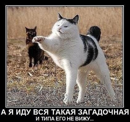 Маришка Пестова | Великий Новгород