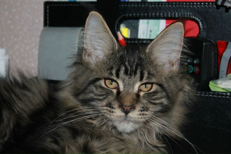 Искендер Исмаилов | 