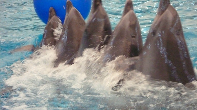 Саша Пащенко | Харьков