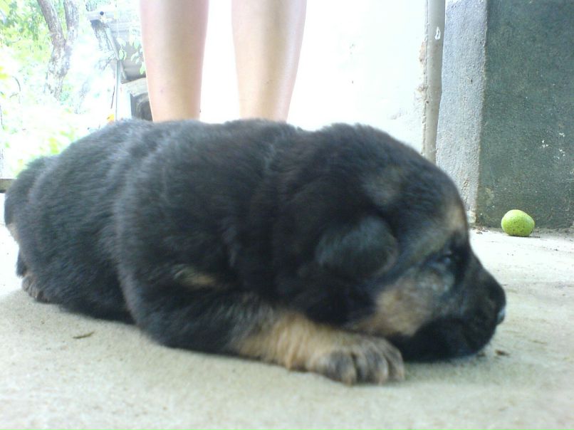 Руся Ткаченко @КОПЕЙКИ РУЛЯТ@ | Николаев