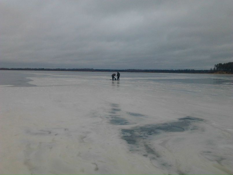Александр Отт | Барнаул