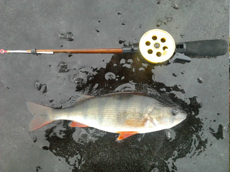 Александр Отт | Барнаул