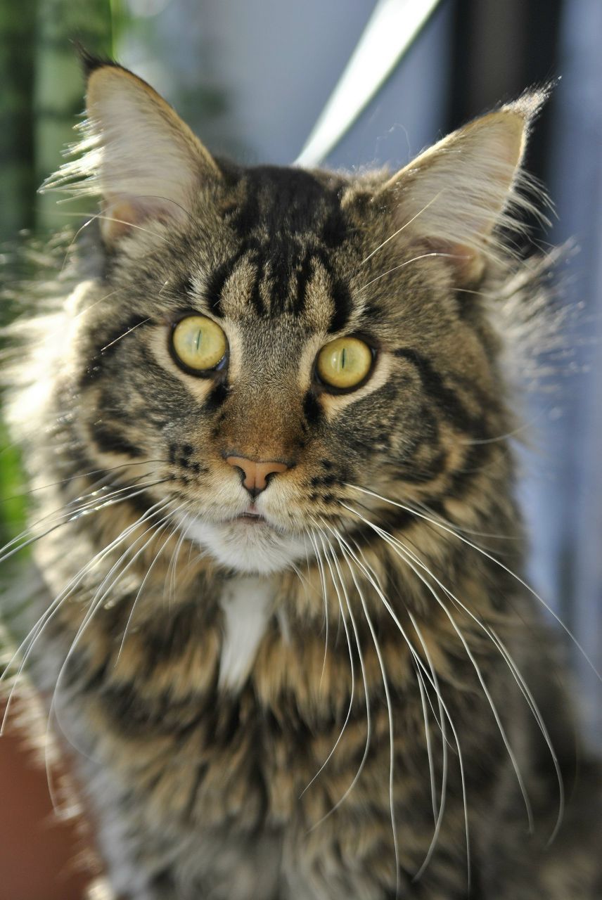 Евгения Седлецкая ❤ i'm ℓo√ﻉ❤ | Калининград