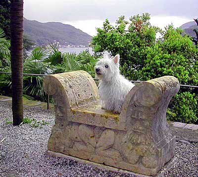 №4, Dolphin Boonex, Bern №4, Dolphin Boonex, Bern