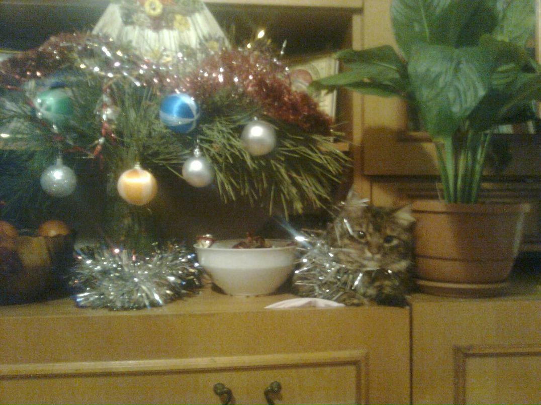 Елена Рудень | Николаев