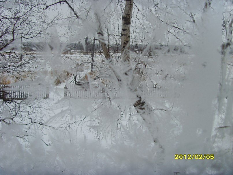 Елена Воровская | Петрозаводск