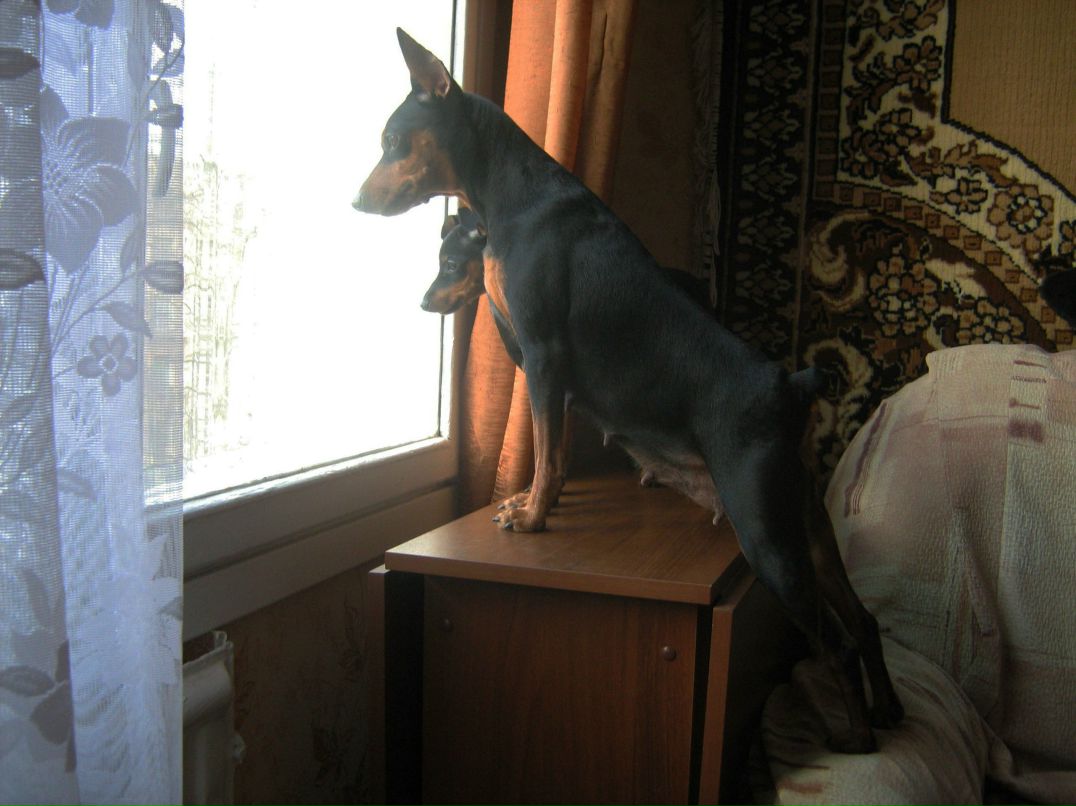 Людмила Ромашева | Санкт-Петербург