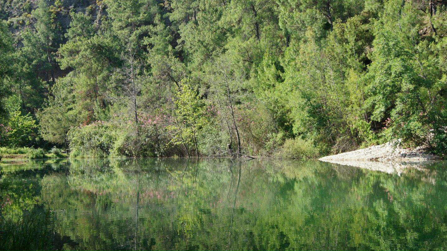 Денис Косторнов | Алматы