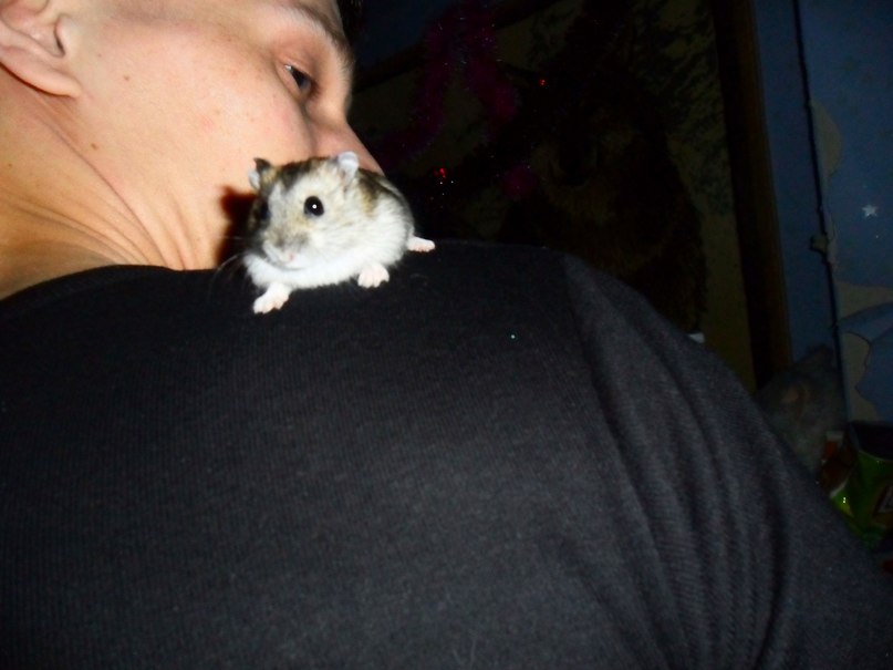 Владимир Зарудный | Санкт-Петербург