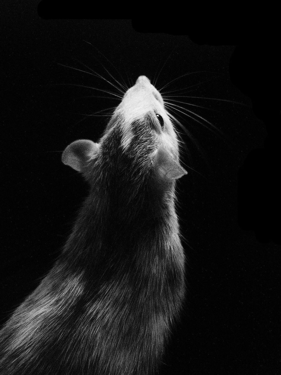 Анастасия Бакалина | Нижний Новгород