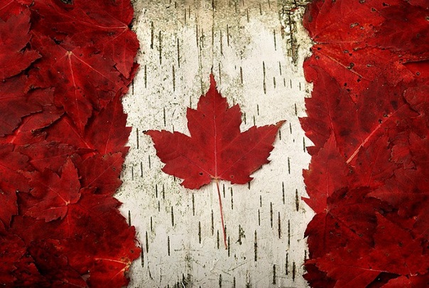 №4, Максим Звоновський №4, Максим Звоновський