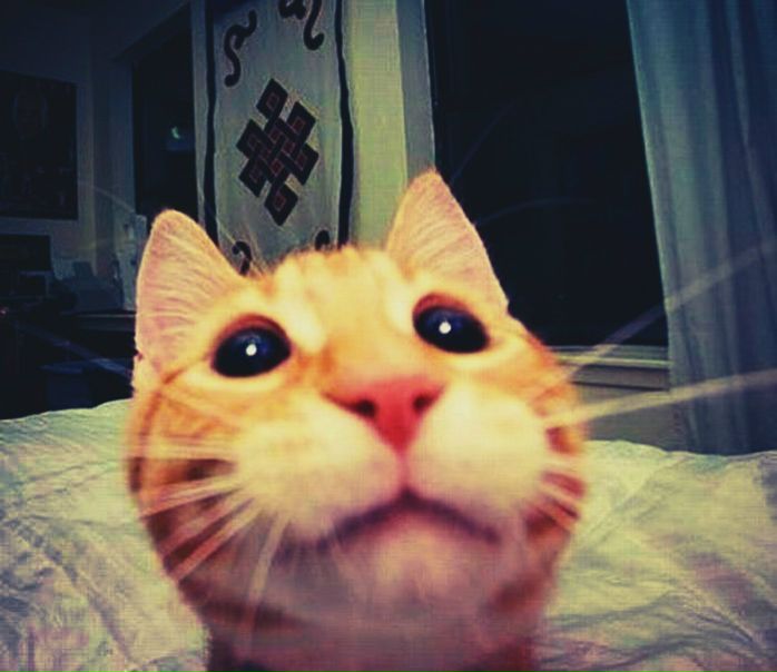 №3, Валерия Нестерова №3, Валерия Нестерова