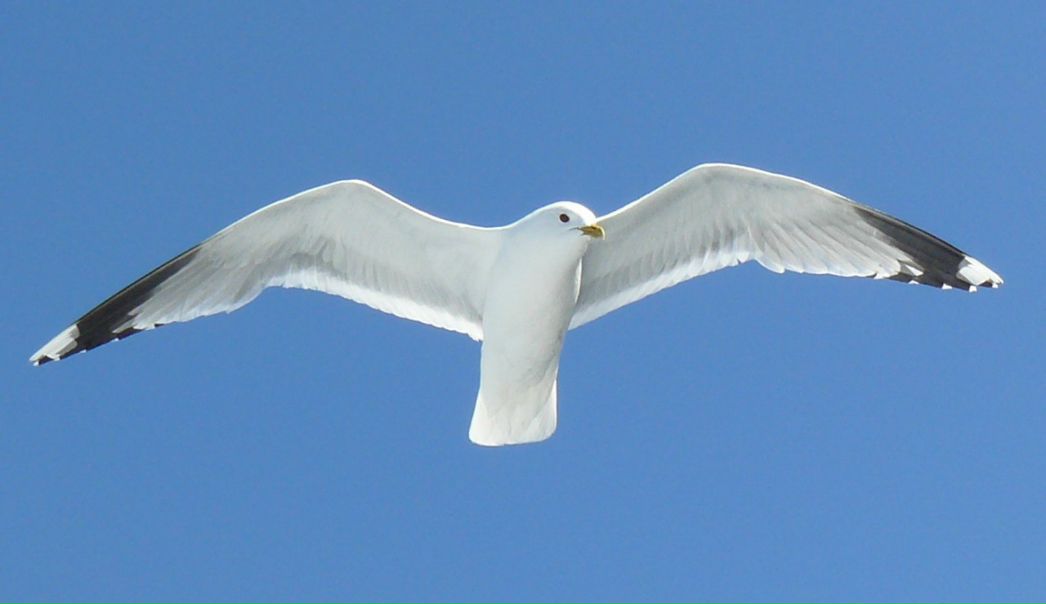 №69, Любовь Ширяева, 48 лет, Санкт-Петербург, Россия №69, Любовь Ширяева, 48 лет, Санкт-Петербург, Россия