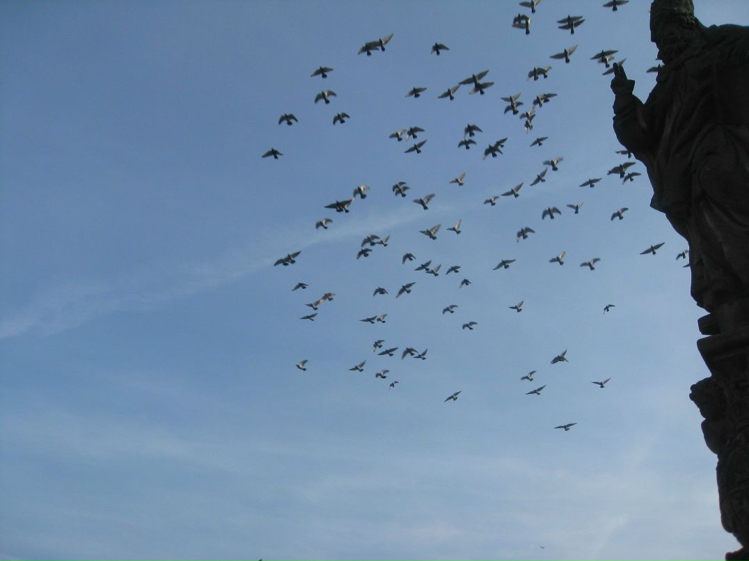 Валя Дроняева | Балашиха