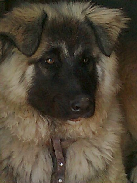 №16, Рашид Салихов №16, Рашид Салихов