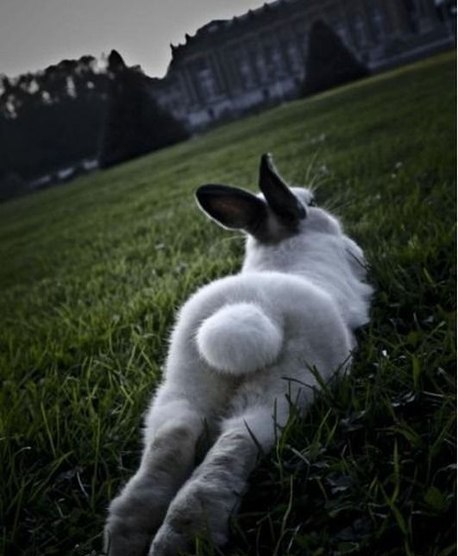 Алина Черёмухина | Набережные Челны