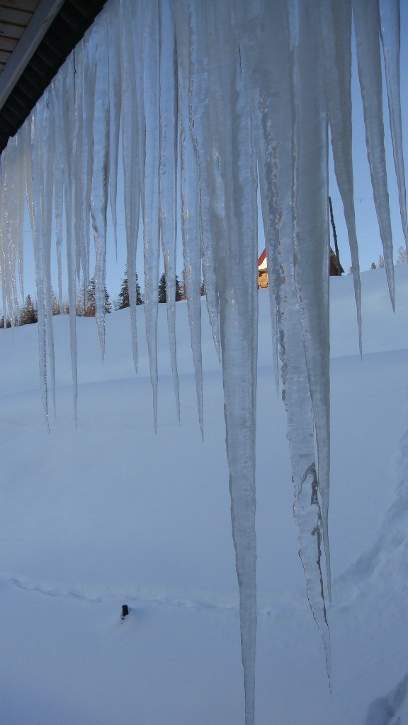 Таня Осипова | Львов