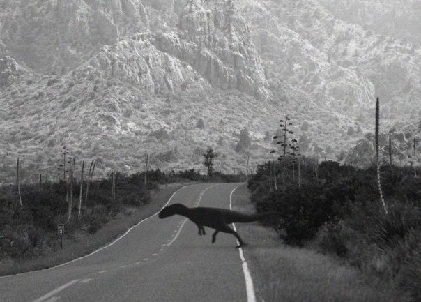 Василий Новиков ахуе | 