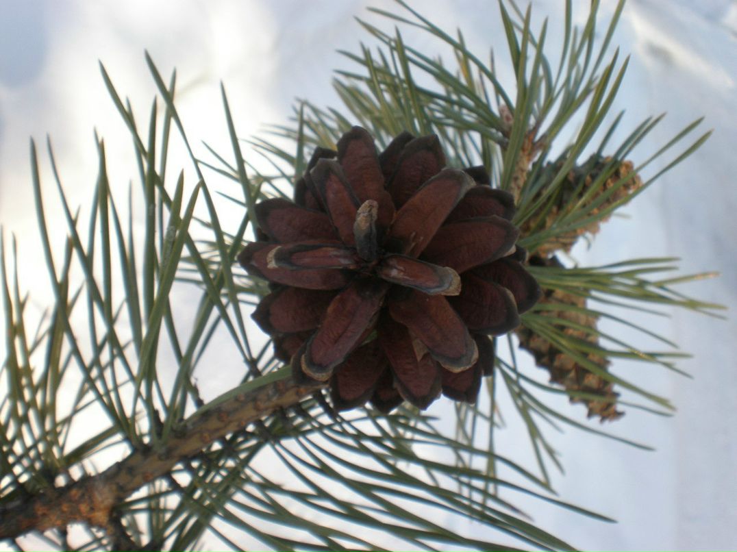 Ольга Сапожко Андреевна | Екатеринбург