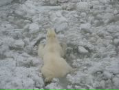 №32 Рустам Мулюков 10.03: профиль, фото, статус - ВКонтакте