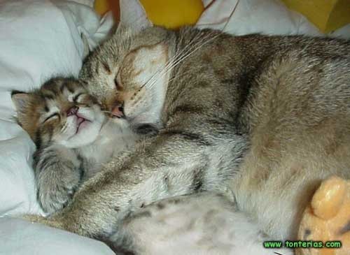 №34, Светлана Атажанова, 51 год, Madrid №34, Светлана Атажанова, 51 год, Madrid