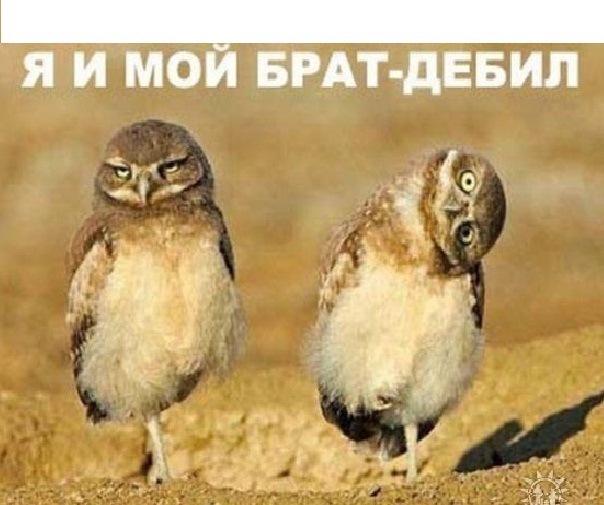 №160, Олексій Годзенко, 34 года, Киев №160, Олексій Годзенко, 34 года, Киев