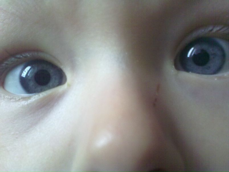 №41, Павел В, Санкт-Петербург, Россия №41, Павел В, Санкт-Петербург, Россия