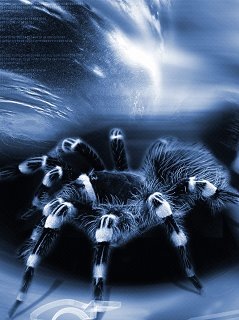 №37, Максим Масленников, 37 лет, Сарка №37, Максим Масленников, 37 лет, Сарка