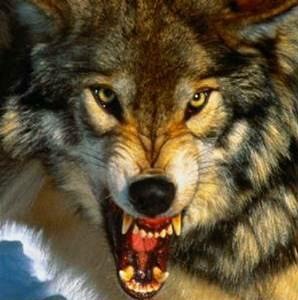 №117, Кирилл @@@, 39 лет, Санкт-Петербург №117, Кирилл @@@, 39 лет, Санкт-Петербург