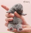 Фотография Саша Кузнецова