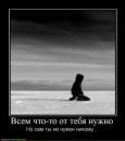 №15 Марина Боброва : профиль, фото, статус - ВКонтакте