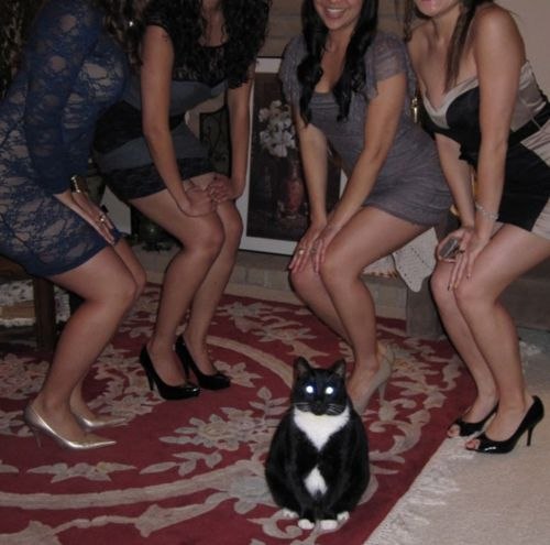 Александр Зудов | Санкт-Петербург